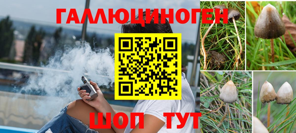 Галлюциногенные грибы ЛСД  Вход с VPN  Кандалакша  Галлюциногенные грибы Psilocybe 